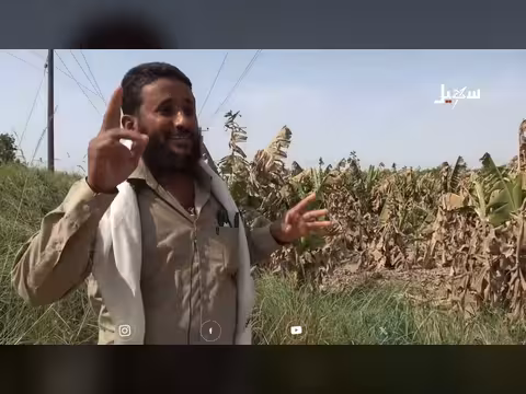الجفاف يهدد سلة اليمن الزراعية