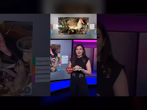 سيارة ذاتية القيادة تدهس بطة في تكساس