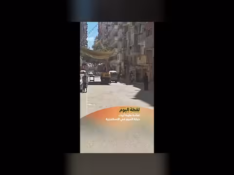 نعامة هاربة تُربك حركة المرور في الإسكندرية