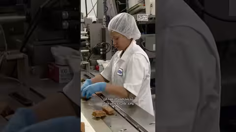 عملية إنتاج الخبز الآلية في مخبز ريفيفا