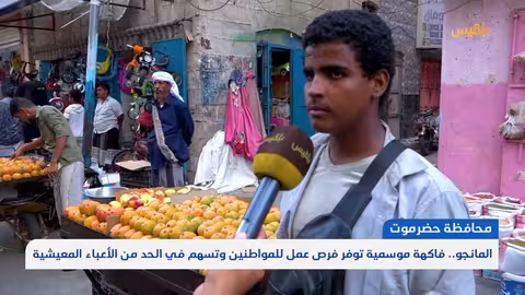 انتعاش سوق المانجو يوفر فرص عمل موسمية في المكلا