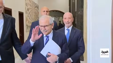 العليمي يحذر من تهديد حوثي للبحر الأحمر... وخطط لإنهاء حرب غزة