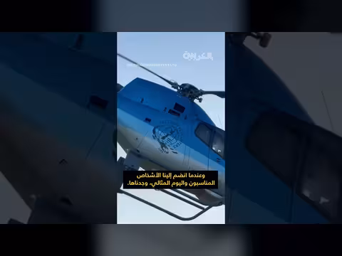 إنقاذ كلبة بوردر كولي فُقدت في غابات نيوزيلندا