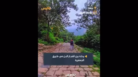 رحلة بالدراجة النارية في مديرية الجعفرية بريمة بين أشجار البن