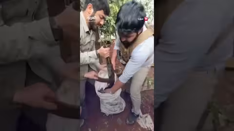 قوى الأمن الداخلي تكشف عن مخبأ أسلحة في طرطوس