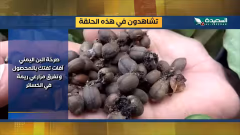 صدى الأسبوع: أبرز أحداث اليمن (19-12-2025)