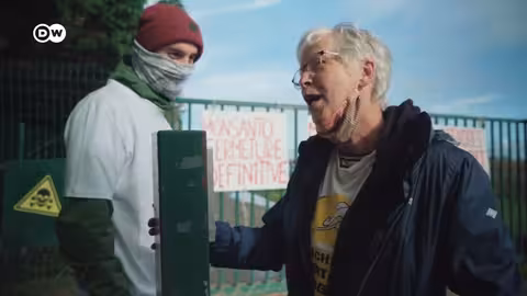 وثائقي | ظاهرة انقراض النحل - ما عواقب انقراض النحل على العالم؟ | وثائقية دي دبليو