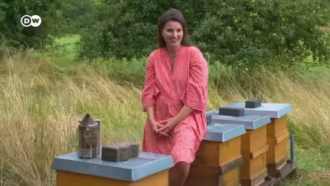 وثائقي | تربية نحل حديثة عبر تيك توك | وثائقية دي دبليو