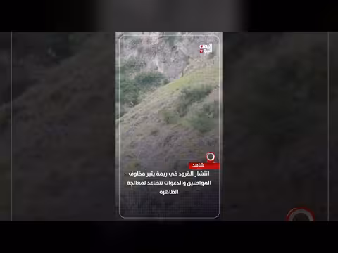انتشار القرود في ريمة يثير مخاوف المواطنين