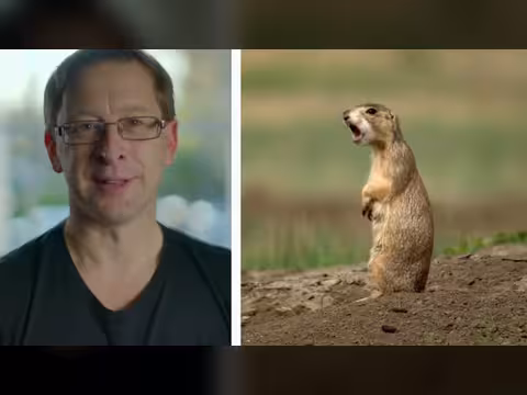 وسائل تواصل الحيوانات الطاووس والحوت