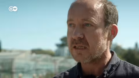 وثائقي | نظرية التطور في قلب المدينة - رد فعل الطبيعة على الزحف العمراني | وثائقية دي دبليو