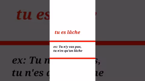 apprendre le français de la vie quotidienne كيف تقول أنت جبان