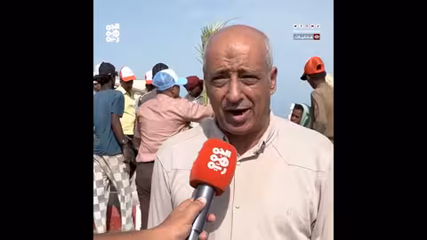 انطلاق المرحلة الثالثة لتشجير مدينة المخا