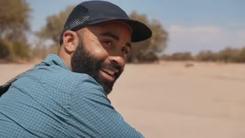 صمود الأفيال: غريزة حب البقاء