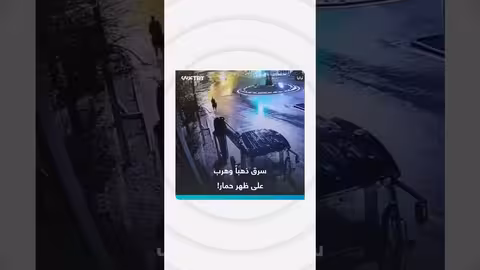 سرقة ذهب وهروب على ظهر حمار