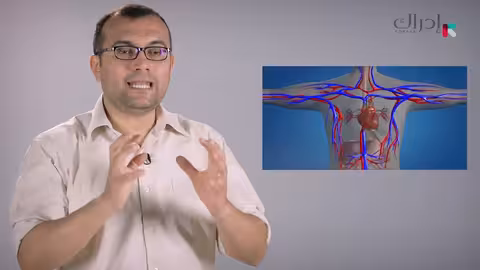 الإسعافات الأولية - طريقة عمل الجهاز الدوري والقلب