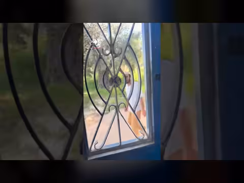 مستوطن يهاجم منزل فلسطيني بالحجارة في الخليل