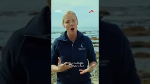 لقطات فريدة في أعماق المحيط