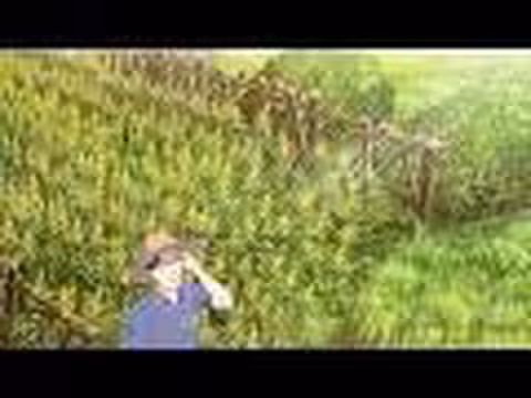 الحلقة الثانية من حلم المياه النقية والجبال الخضراء لقرية شيا جيانغ