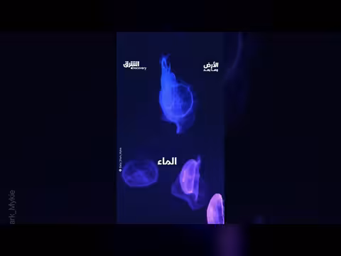 بحر النجوم في المالديف