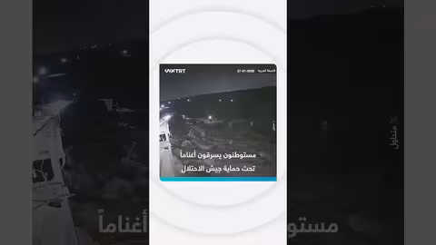 مستوطنون يسرقون أغناماً تحت حماية جيش الاحتلال
