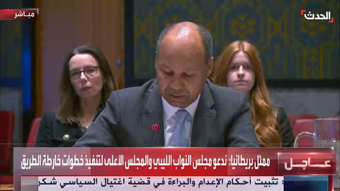 مندوب بريطانيا في مجلس الأمن يدعو إلى انتخابات ليبية حرة