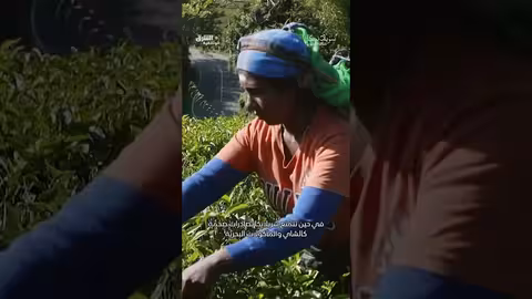 لماذا تتدين سريلانكا؟ وثائقيات، shorts