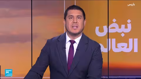 اكتشاف أكبر شبكة عناكب في العالم تضم 110 ألف عنكبوت