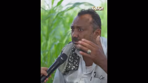 المورينجا..شجرة المعجزة في حيس وعلاجها للأمراض