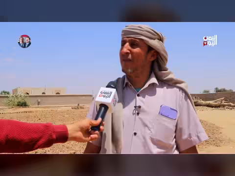 الجفاف يضرب المزارع في مرب