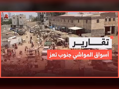 أسواق المواشي جنوب تعز.. حركة بلا شراء