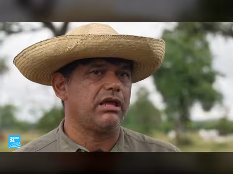 البرازيل ملاذ آمن للنمور