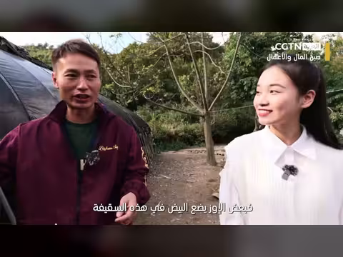 الصين: الإنترنت يعزز مبيعات الإوز الأسود