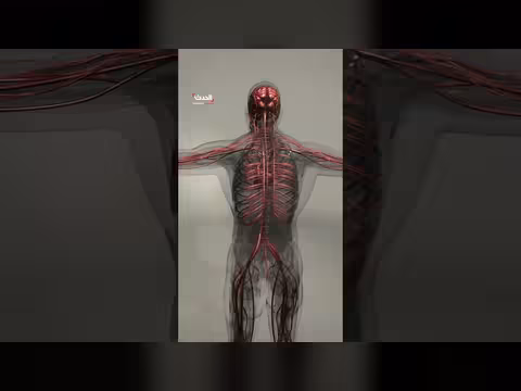 840 ألف وفاة سنوياً بسبب المخاطر النفسية والاجتماعية في العمل