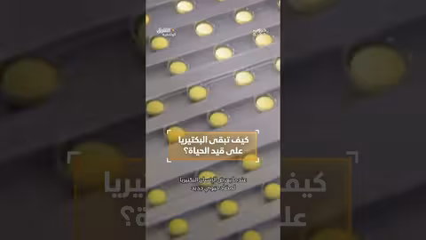 كيف تبقى البكتيريا على قيد الحياة؟ #وثائقيات #shorts