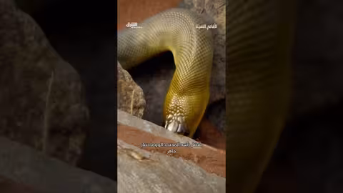 فلسطيني يودّع زوجته وابنه الشهيدين