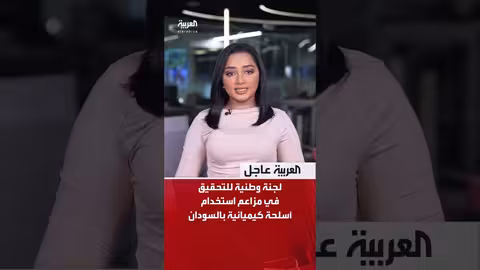 تطورات الأوضاع في غزة وسوريا ولبنان والسودان