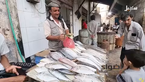 ارتفاع أسعار الأسماك يهدد وجبة أساسية في المهرة اليمنية