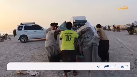 عودة الصيادين في سقطرى مع بدء موسم الفتوح