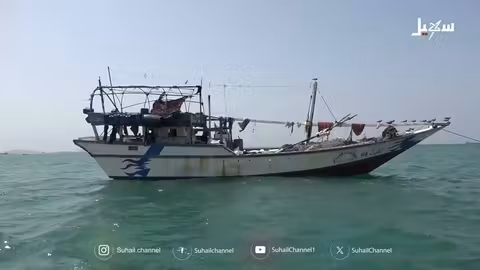 تدهور الثروة السمكية في شبوة: صيادون يناشدون بالتدخل