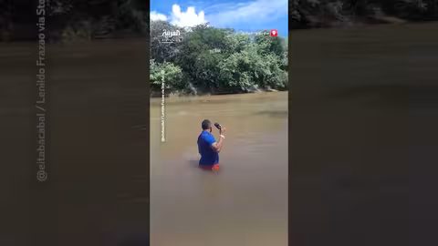 مشاهد من أعماق المياه: استكشاف وتحذيرات