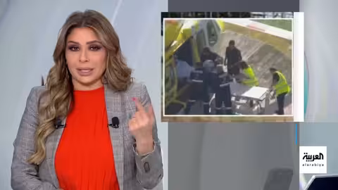 هجمات أسود في تركيا وأستراليا: تفاصيل وحوادث متفرقة