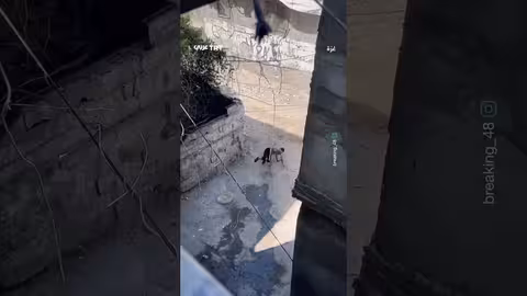 القبض على أردني في أمريكا بسبب جدل في مطعم ترمب برجر.