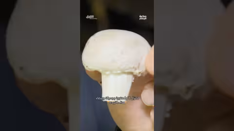 لحظات رعب عاشها أطفال روضة في جنوب لبنان خلال قصف إسرائيلي.