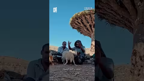 تقاليد الذبح وطقوس الطبخ في اليمن الريفي