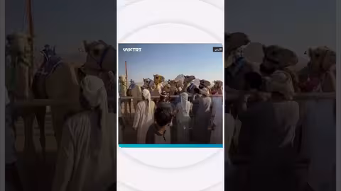 الأردن يستضيف كأس العرب للهُجُن 2025