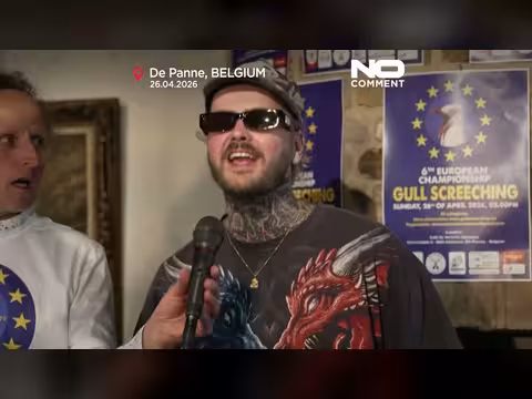 مقلدو النوارس يتنافسون على أفضل صرخة