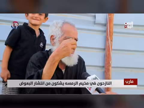 انتشار البعوض في مخيم الرمسة بمارب يهدد صحة النازحين