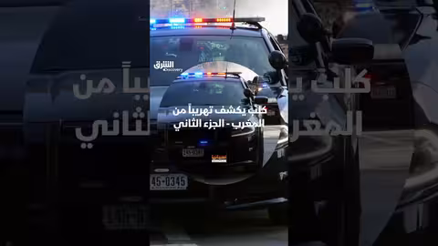 كلب شرطي يكشف تهريب حشيش في شاحنة من المغرب