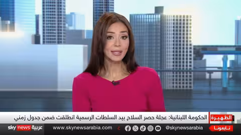 لبنان: قرار حكومي بحصر السلاح... وتحديات التنفيذ